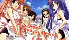 有什么后宫动漫好看,十大热门后宫作品，让你沉浸于浪漫的宫廷世界